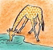 giraf 2